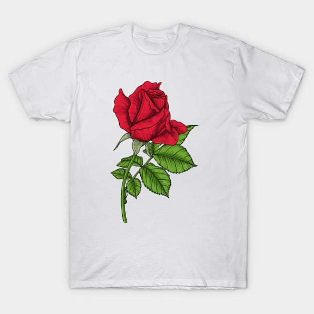 Red rose T-Shirt by katerinamk